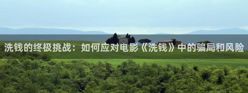 星空影院高清电影电视剧：洗钱的终极挑战：如何应对电影《洗钱》中的骗局和风险