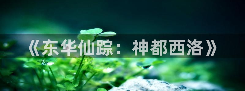 星空影院手机免费观看电影在线播放：《东华仙踪：神都西洛》