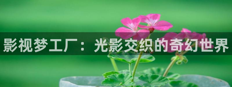 星空影城陇海路