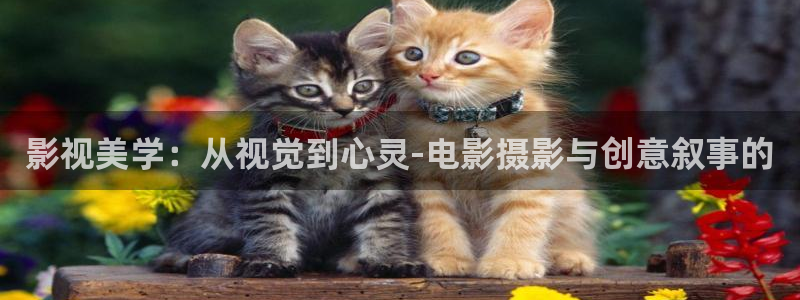 星空影院电视剧在线观看大全